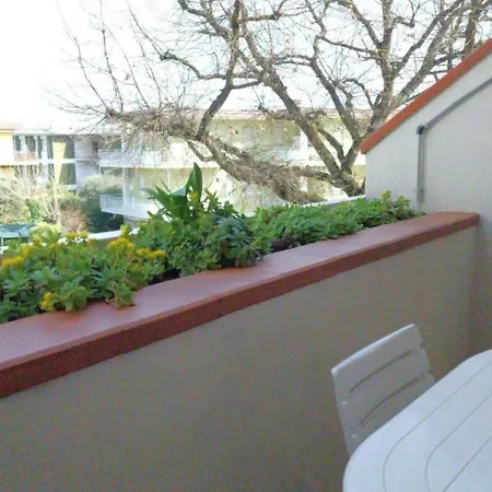 La Terrazza Al 12 - Casa Casoni Daire Marcelli